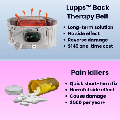 Lupps™3-in-1 Back Therapy