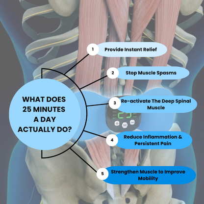 Lupps™ A-EMS Pulse PRO