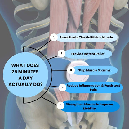 Lupps™ A-EMS Pulse PRO